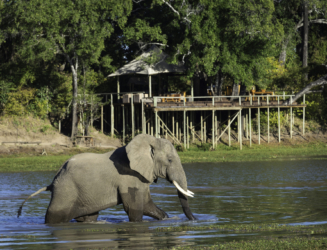 Chindeni Bushcamp