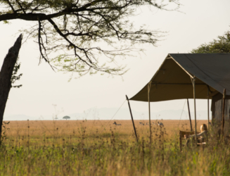 Serengeti Safari Camp