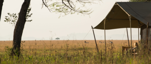 Serengeti Safari Camp