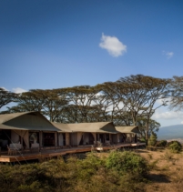 Entamanu Ngorongoro