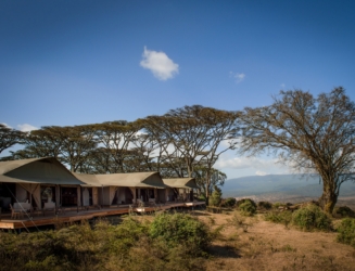 Entamanu Ngorongoro