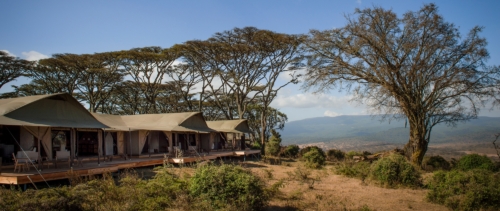 Entamanu Ngorongoro