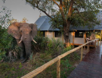 Chitabe Lediba Camp