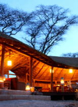 Little Oliver’s Camp