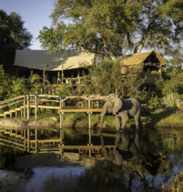 Little Tubu Camp