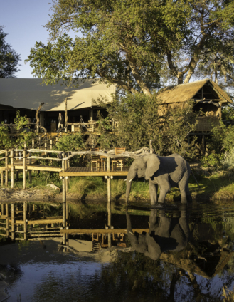 Little Tubu Camp