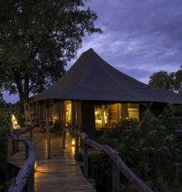 Mombo Camp