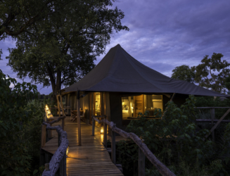 Mombo Camp