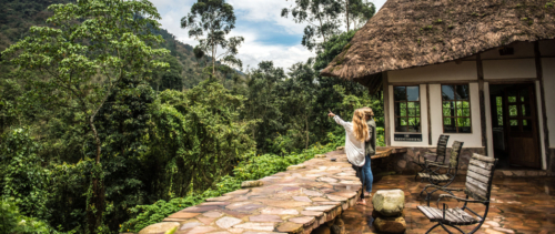 Bwindi Lodge