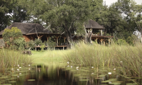 Xudum Okavango Delta Lodge