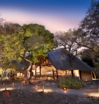 Ngala Safari Lodge