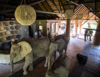 Mfuwe Lodge