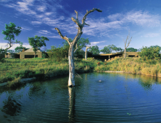 Sabi Sabi Earth Lodge