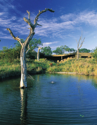 Sabi Sabi Earth Lodge