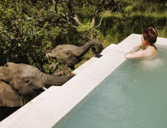 Malewane Lodge