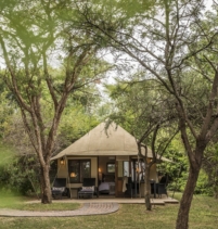 Savanna Lodge