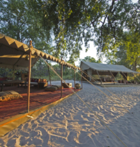 Selinda Explorers Camp