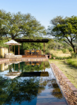 Serengeti House