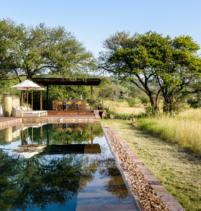 Serengeti House
