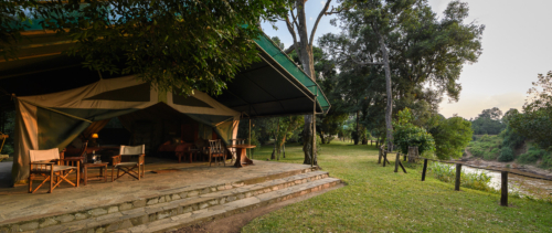 Il Moran Camp