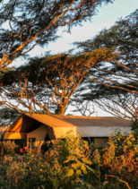 Ngorongoro Tented Camp