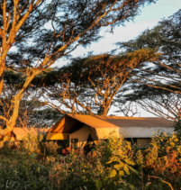 Ngorongoro Tented Camp