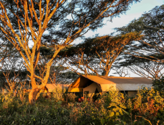 Ngorongoro Tented Camp