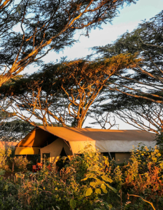 Ngorongoro Tented Camp