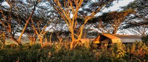 Ngorongoro Tented Camp