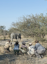 Okavango Channels & Plains