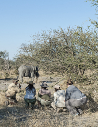 Okavango Channels & Plains