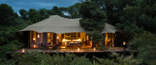 Mara Plains Camp
