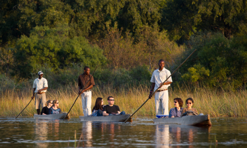 Okavango Channels & Plains