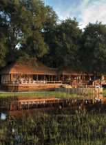 Chief’s Camp
