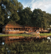 Chief’s Camp