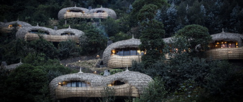 Bisate Lodge