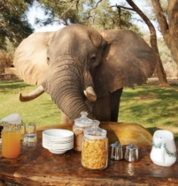 Chongwe Camp