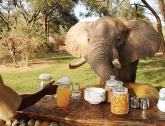 Chongwe Camp