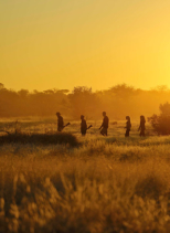 Kichaka