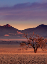 Kwessi Dunes