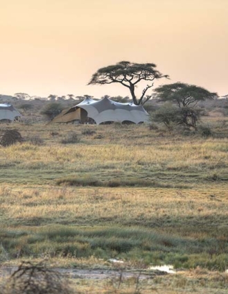 Namiri Plains