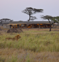 Namiri Plains