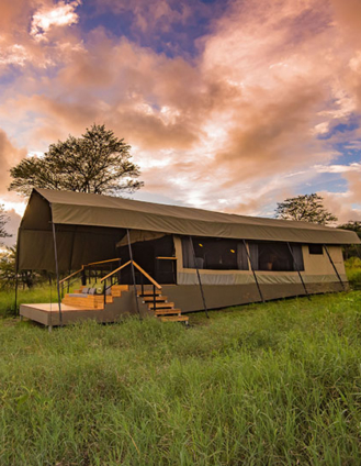 Dunia Camp