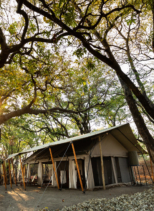 Okavango Explorers Camp