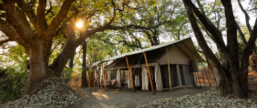 Okavango Explorers Camp