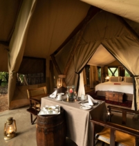 Mara Toto Tree Camp
