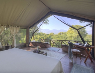Sarara Treehouses