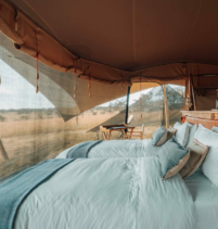 Usawa Serengeti