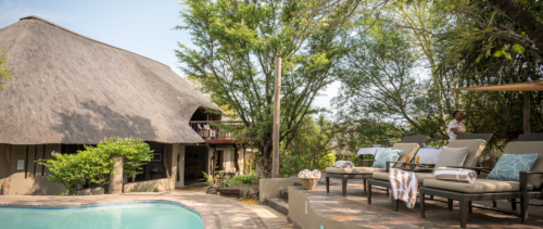 Kambaku Safari Lodge