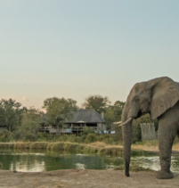 Simbambili Game Lodge